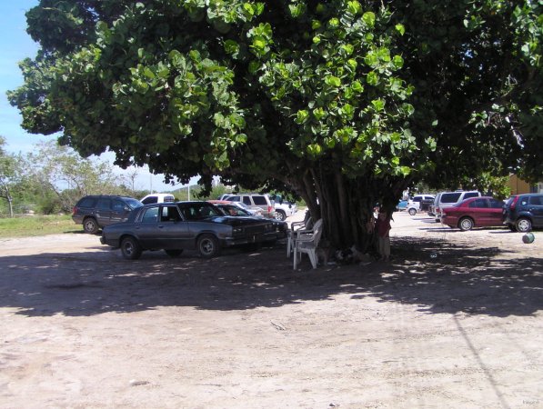 30- La station de taxis 